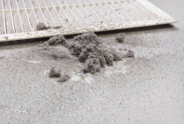 Best Affordable Duct Cleaning Services  in Corbin, KY