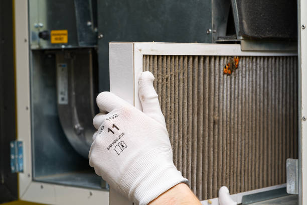 Best Professional Duct Cleaning Services  in Corbin, KY
